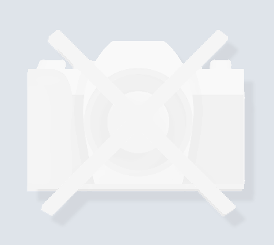 Нет изображения